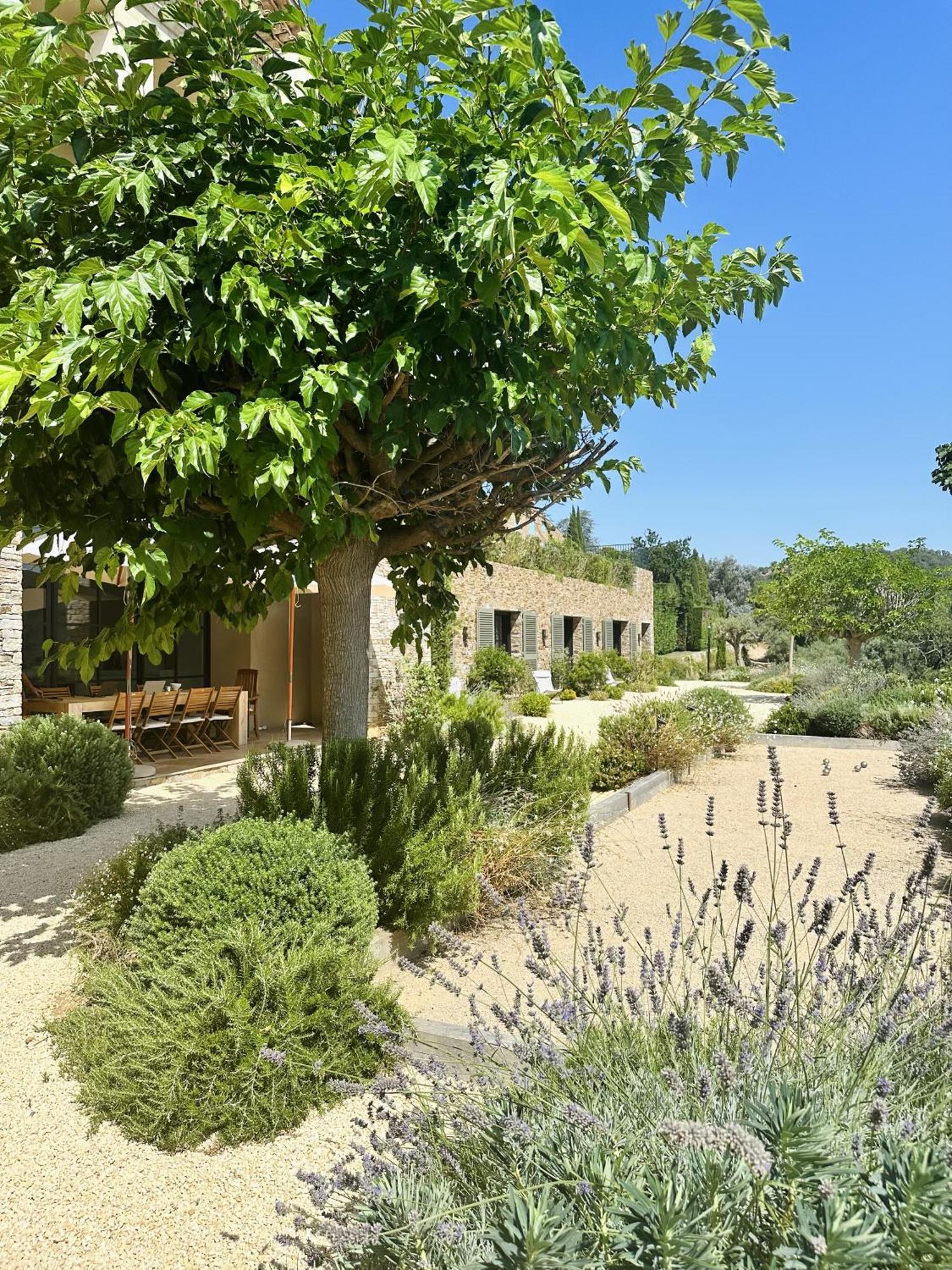 Le Mas Saint Michel Grimaud Bed and Breakfast Exteriör bild